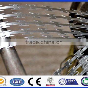 cheap safety netting Galvanized stainless steel razor barbed wire