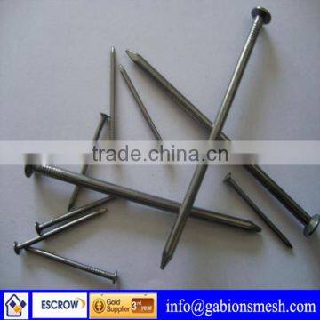 High quality/low price steel concrete nails for Asia,Africa,Europe