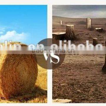 Roll Toilet Tissue photo-3