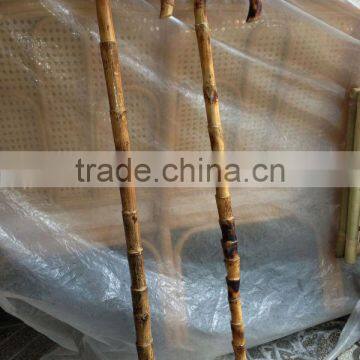 RATTAN WALKING STICK