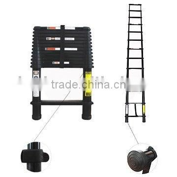 12.5' Telescopic Color ladder