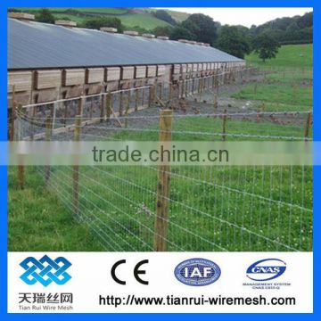 High Quality Poultry Fencing / grassland fence (professional factory)