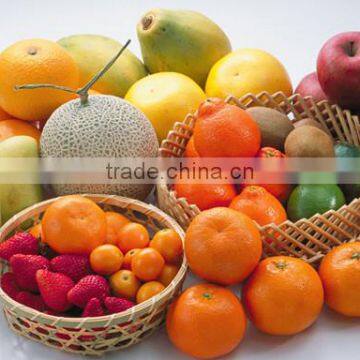 Lemon Grading Machine/pineapple Washing Machine photo-6