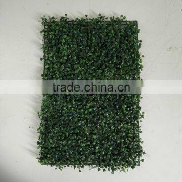 Resist Ultraviolet Artificial Milan Grass Carpet for Outdoor Decoration photo-6