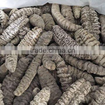 Fully Dried Mexicana photo-4