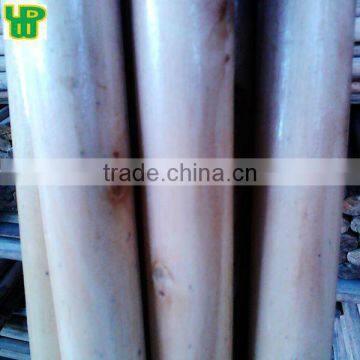 China Whosehold Supplier Varnished Wooden Brush Stick with cheap price