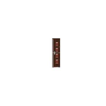 Steel security door