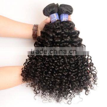 Wholesale Virgin Malaysian Hair, 100% Unprocessed Malaysian Virgin Hair, Malaysian Hair Curly Bundles photo-5