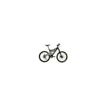 Taiwan Down Hill Bike