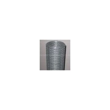 Galvanized Welded Wire Mesh