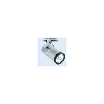 Halogen track light