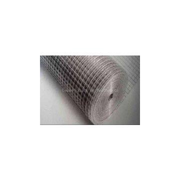 Hot Dipped Galvanized Welded Wire Mesh Rolls