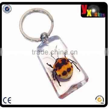 Free shipping Acrylic Keychains with Insert Photo Key rings