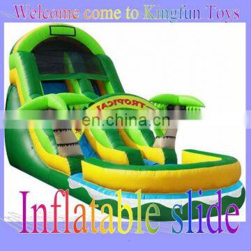 Tropical water pool slide inflatale game