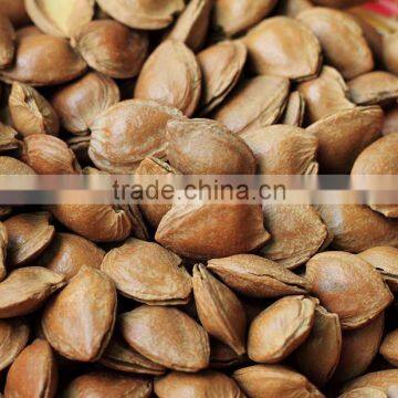 Bitter Apricot Kernels for sale