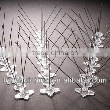 satiness and plastic bird spikes made in China