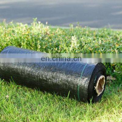 Anti Weed Mat 100% PP Woven Geotextile Weed Control Artificial Ground Cover For Blueberry photo-2