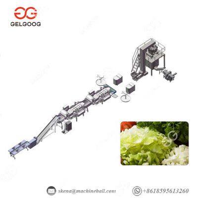 Fruit Vegetable Washing Processing Line Factory Customization