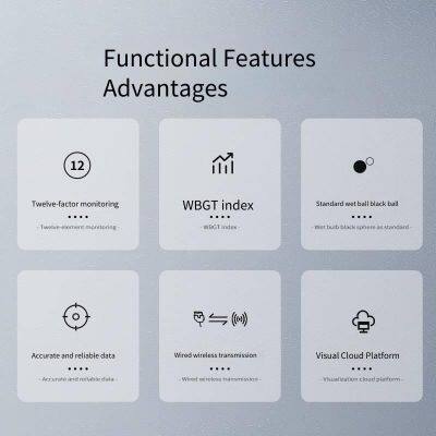 Heat Index Meter Wbgt Black Globe and Wet Bulb Temperature Sensor Integrated Indoor Comfort Meter Thermometer, Huiyang Zhilian photo-4