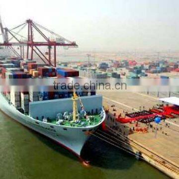 DDU/DDP Sea Freight From China to Malaysia/Philippines/Indonesia/Singapore photo-2