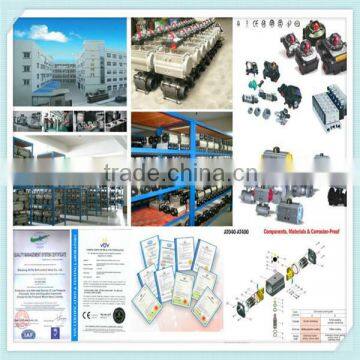 Pneumatic Angle Seat Valve photo-2