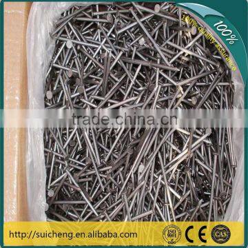 Guangzhou construction iron nails/zinc nails/iron nails                        
                                                Quality Choice