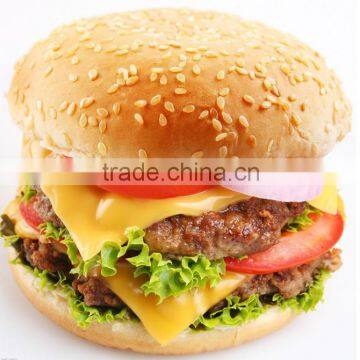 Hamburger Patty Making Equipment photo-3