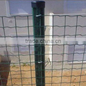 Holland Wire Mesh /Euro Fence photo-5