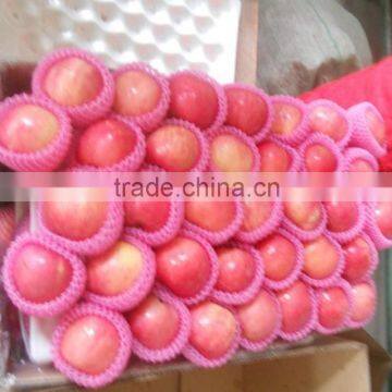 bulk fresh fuji apple fuji apple importer fuji apple wholesale