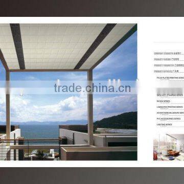 Hot-sale China Cheap Ceiling Panel From China photo-6