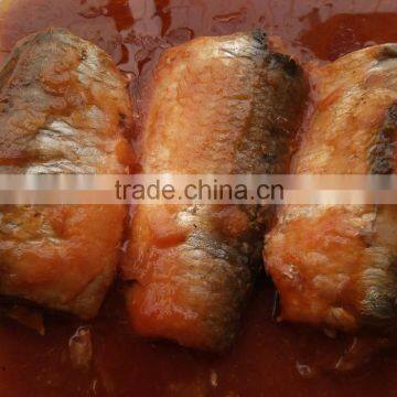 Producers of Sardine Food Cans photo-4