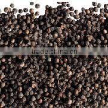 BLACK PEPPER, HIGH QUALITY AT RIGHT PRICE