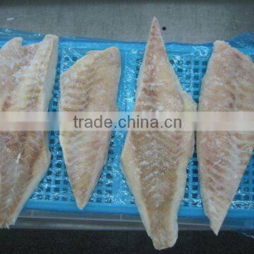 frozen red fish portion cut