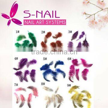 Newest Nail Art decoration Hot 10 Colors Polka Dot design Real Feather