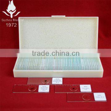 University students study animal histology zoology different prepared slides