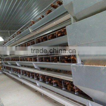 Design Layer Chicken Cages photo-2