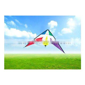 Dual Line Delta Stunt Kites - Straight Edge Kites