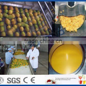 ecomomic method mango processing equipment