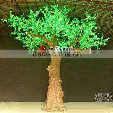 Led Yellow Maple Trees Sell photo-4