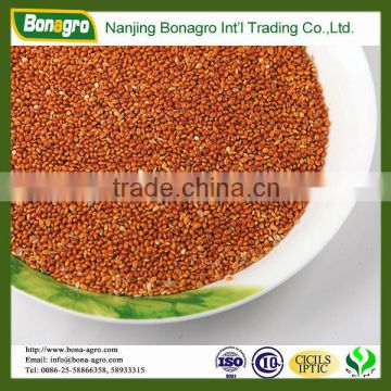 millet /red millet China supplier