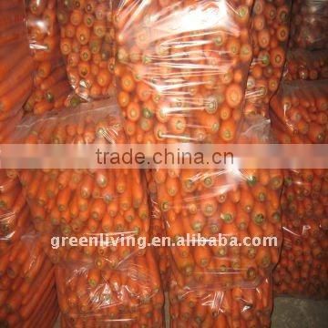 2014 hot sale fresh carrot from china