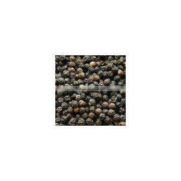 BLACK PEPPER 500G/L - 600G/L