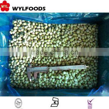 Price for Frozen Baby Broad Beans photo-2