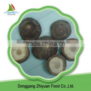 Chinese High Quality Frozen Shiitake And Law Price Hot Selling photo-6