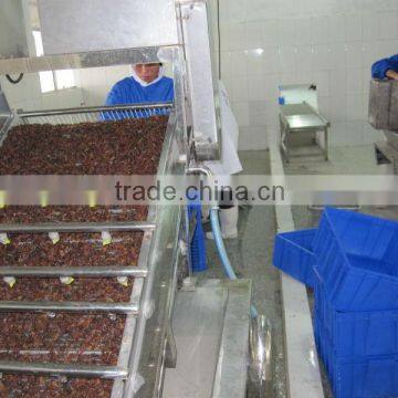 Dried Golden Raisin, AAA Grade photo-3