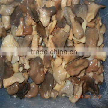 Chinese 1kg Mix Mushrooms Kinds of Oyster Mushrooms Mushroom for Sale photo-2