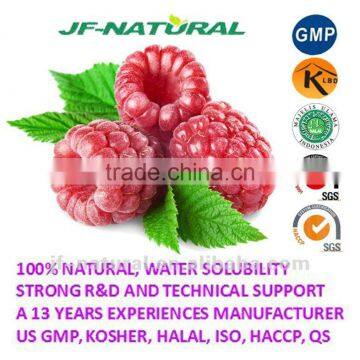 100% natural raspberry powder manufacture ISO, GMP, HACCP, KOSHER, HALAL certificated