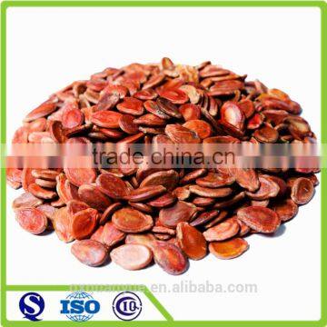 Bulk snack food roasted watermelon seed