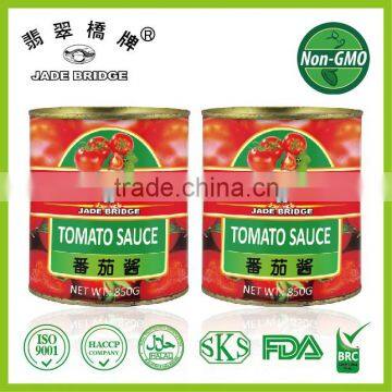 Chinese cannedTomato Past