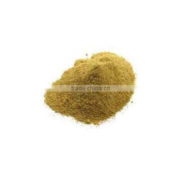 Moringa Seed Cake